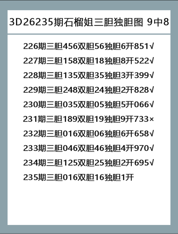 石榴姐-9.png