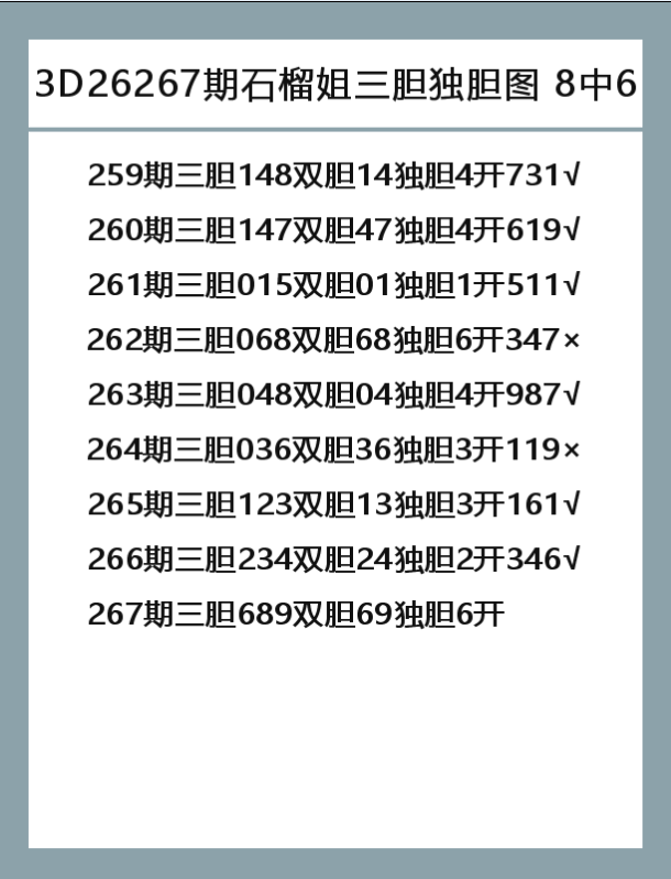 石榴姐-9.png