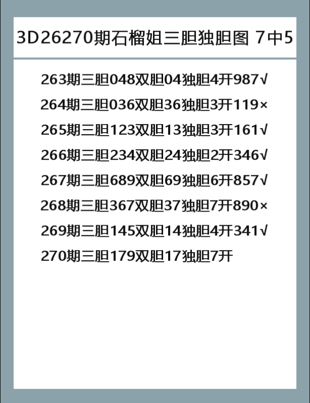 石榴姐-9.png